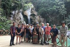Combo: Alms Giving Ceremony, World Heritage City and Kuang Si Falls  Tour