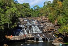1 Day Trekking To Waterfalls - Orchid Fields From Vientiane City - Private 