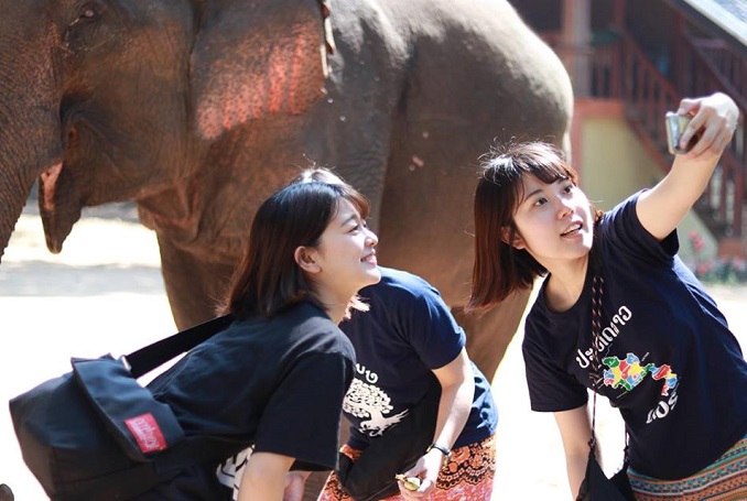 Half-day Mahout Training, Elephant Riding Tour