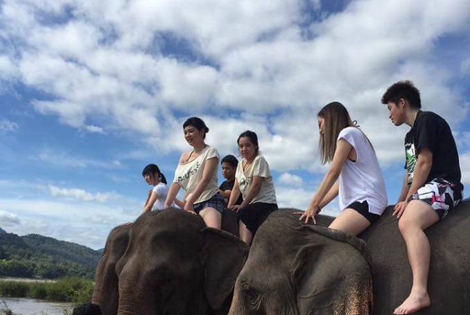 Slow Boat to Pak Ou Caves, Elephant Experience and Kuang Si Falls Fullday