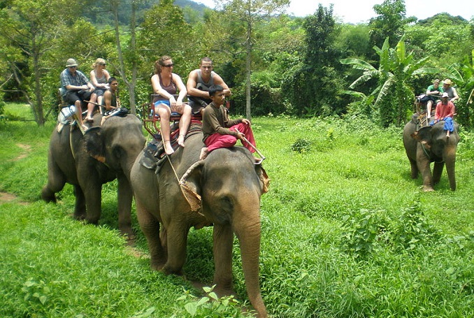 Half-day Slow Boat to Caves, Village and Elephant Experience Tour
