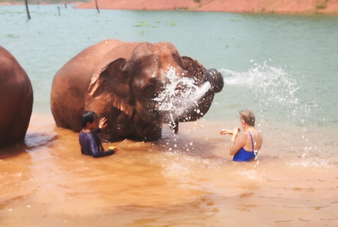 Half day Visiting Pak Ou Cave and Elephant Bathing tour