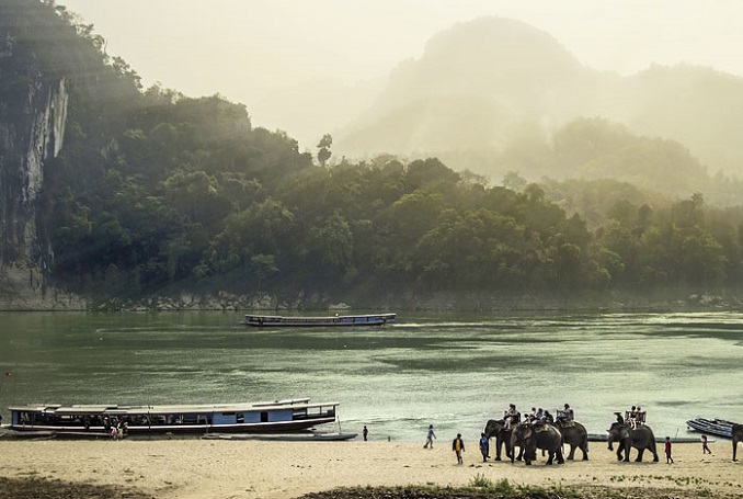 Full -day Elephant Adventure, Mahout Training and Pak ou Caves