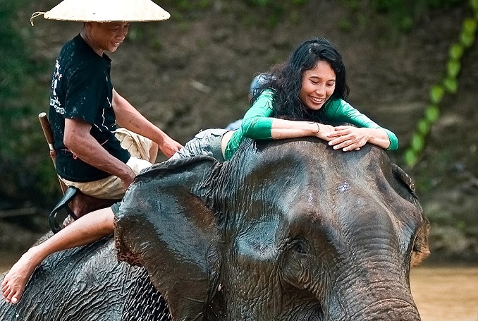 Full-day Elephant Experience Kuang Si Waterfalls
